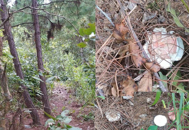 Imphal to waikhong journey , nearby tourist places, km from imphal